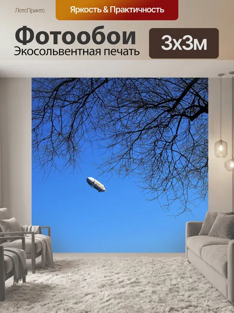 Фотообои Zeppelin