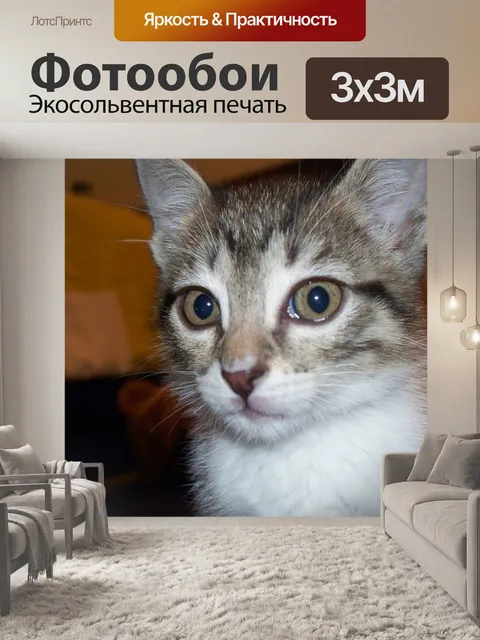 Фотообои Кошка