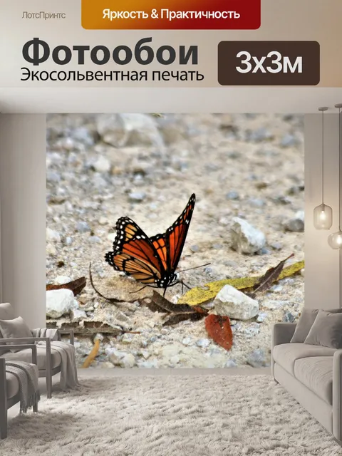 Фотообои Монархическая бабочка в песке