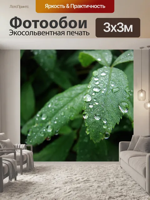 Фотообои Листья
