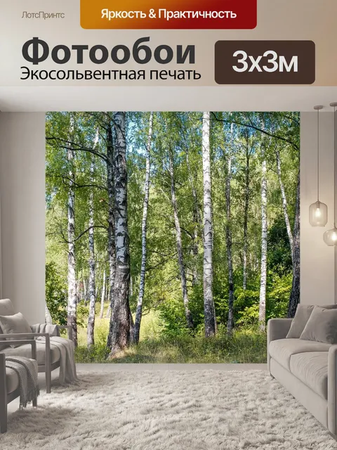 Фотообои Береза