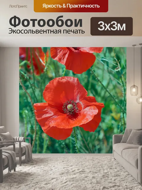 Фотообои Мак