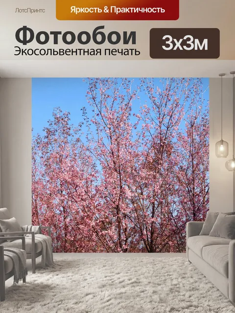 Фотообои Prunus cerasoides, дикая гималайская виш