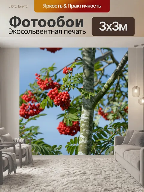 Фотообои Красные ягоды на дереве