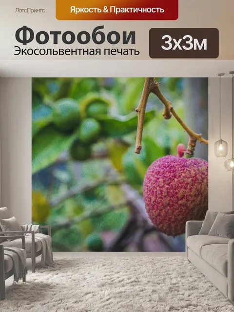 Фотообои Личи