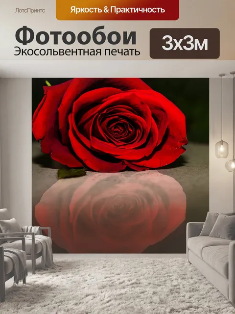 Фотообои Роза