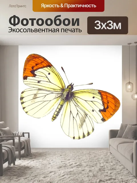 Фотообои Животное