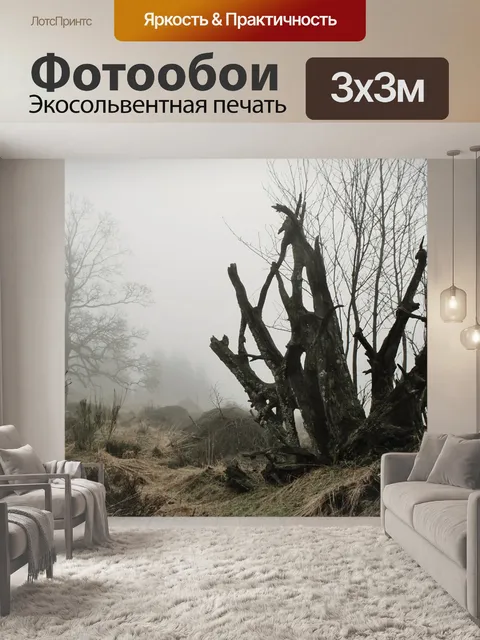 Фотообои Туман