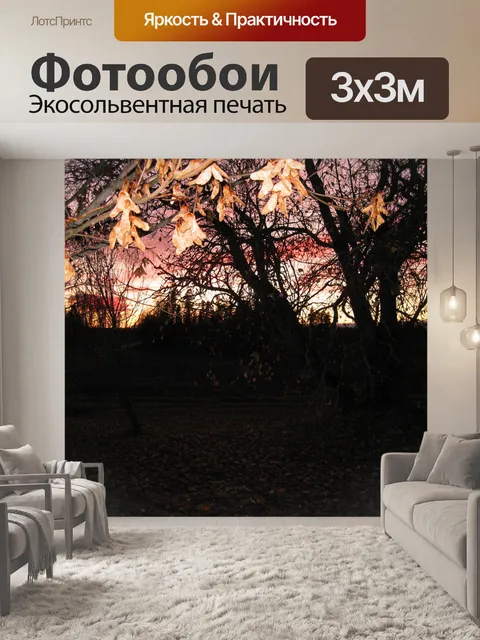 Фотообои Осень