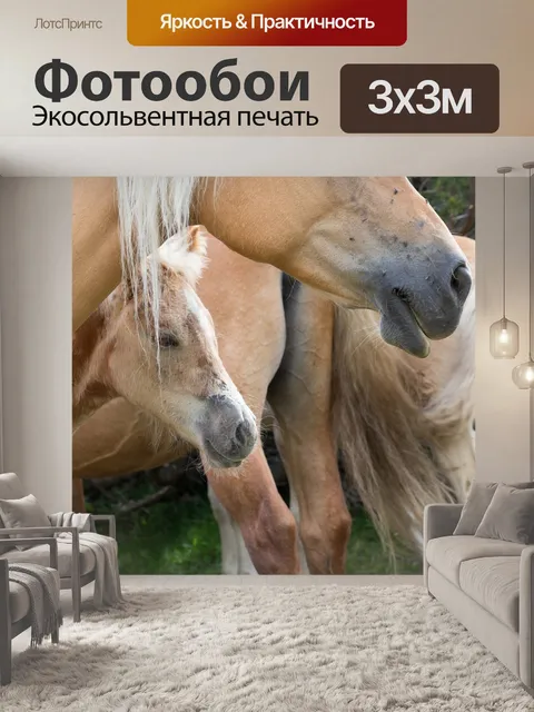 Фотообои Horses