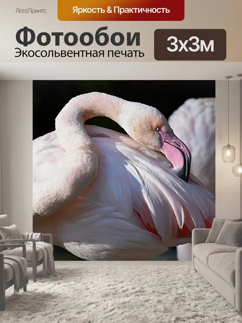 Фотообои Фламинго