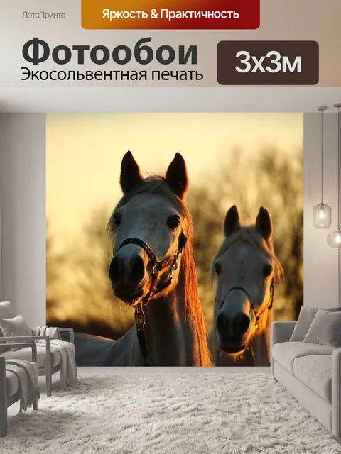 Фотообои Лошадь