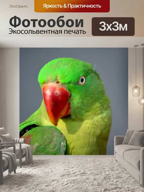 Фотообои Зеленый попугай
