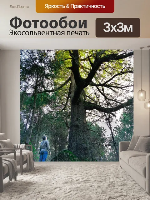 Фотообои Дерево