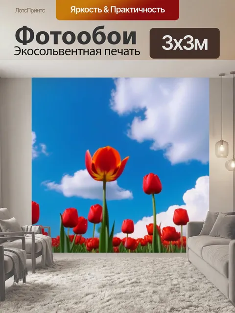 Фотообои тюльпаны и облака