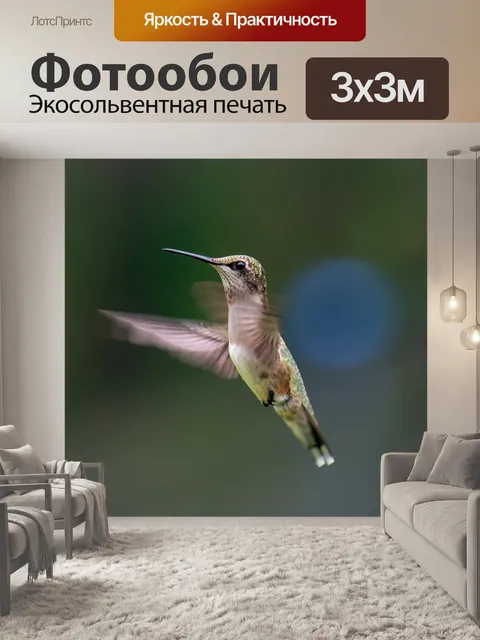 Фотообои Птица