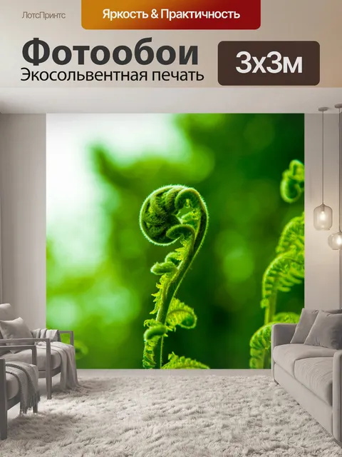 Фотообои папоротник