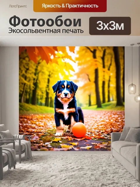 Фотообои щенок бернского зенненхунда