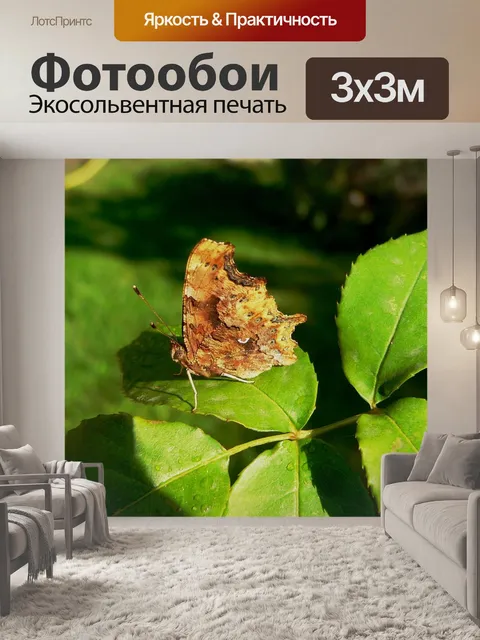 Фотообои Бабочка