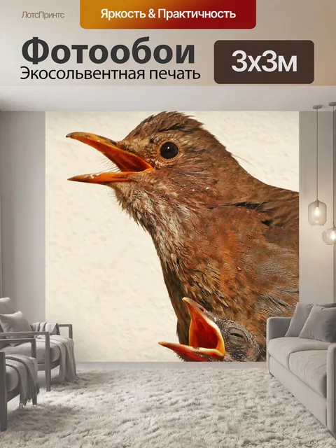 Фотообои Птица