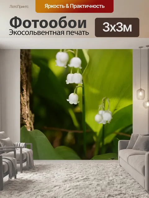 Фотообои Лесной ландыш
