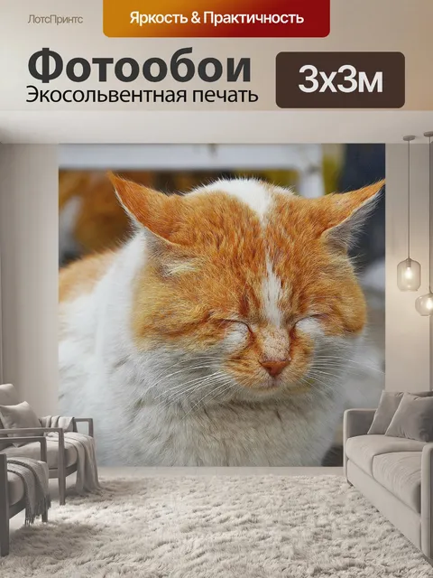 Фотообои Кошка