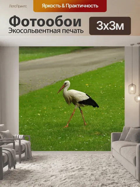 Фотообои Птица