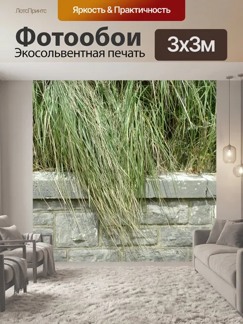 Фотообои Стены сада Флора