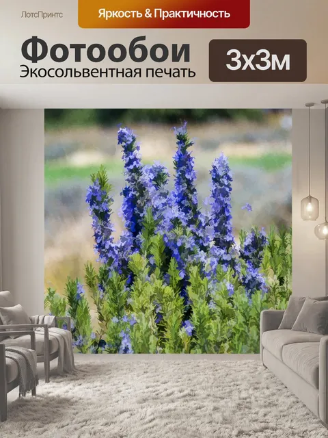 Фотообои Лаванда