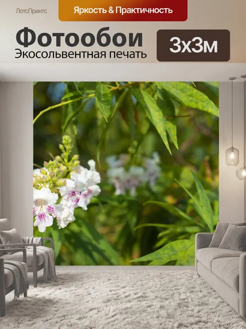 Фотообои Дерево