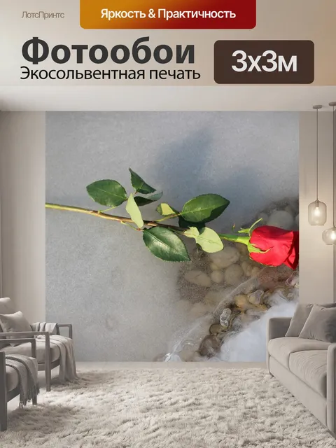 Фотообои Красная роза на льду