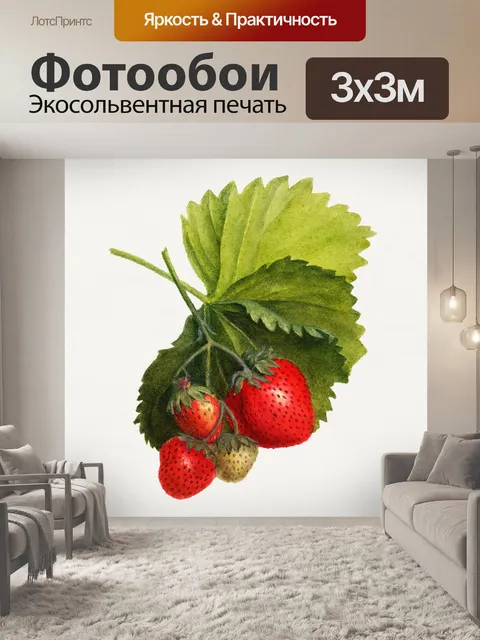 Фотообои Плоды клубники фруктовое искусство