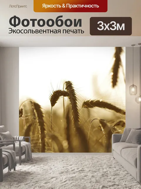 Фотообои Пшеница