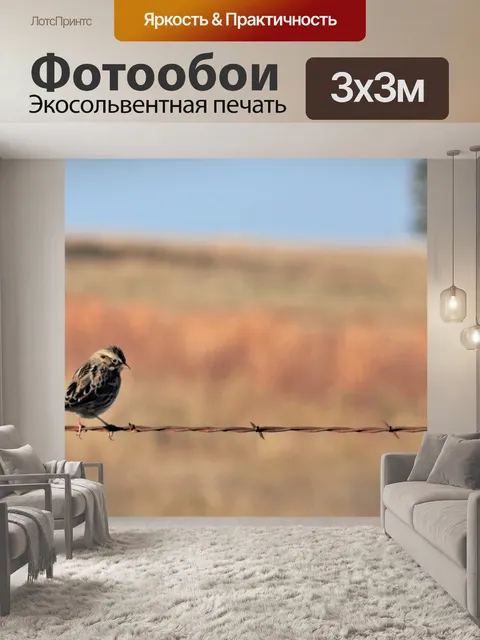 Фотообои Песня Воробей на колючей проволоке 2