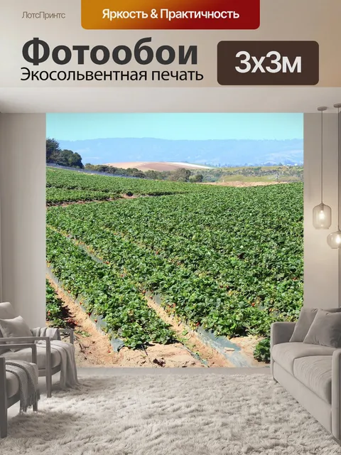 Фотообои Клубника
