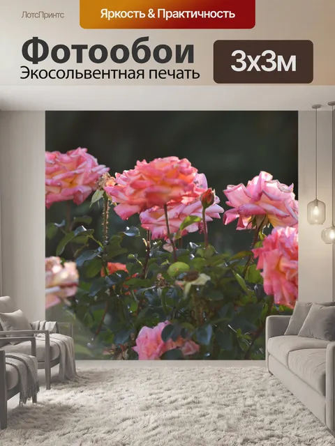 Фотообои Садовые розы