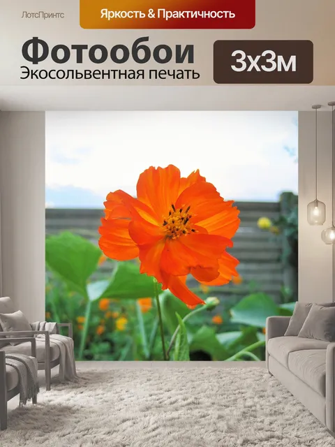 Фотообои оранжевые космос на фоне неба