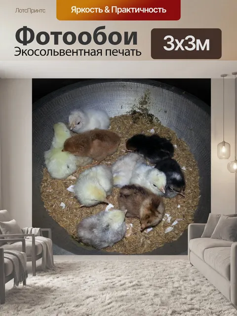 Фотообои Домашние питомцы