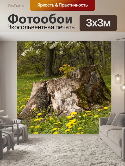 Фотообои Пень