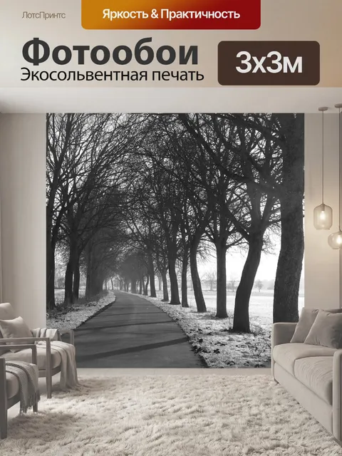 Фотообои Проспект