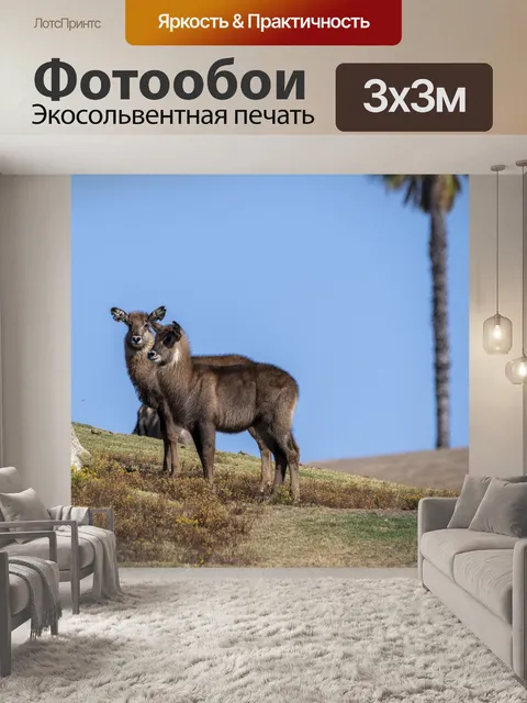 Фотообои дикая природа