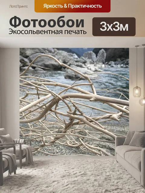 Фотообои Плавник