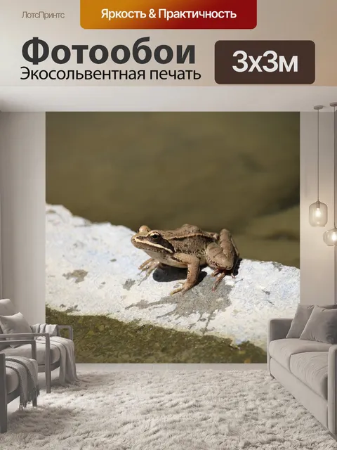 Фотообои Мокрый