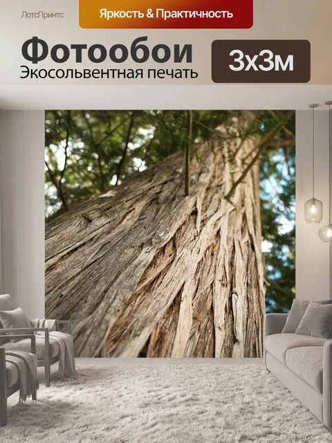 Фотообои Дерево