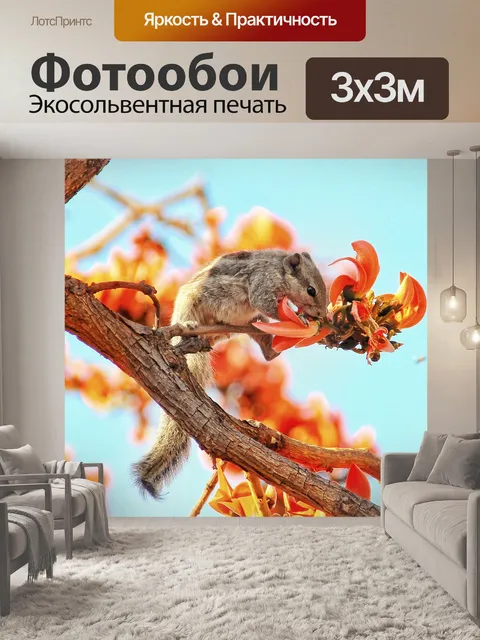 Фотообои Природа