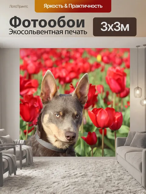 Фотообои Собака