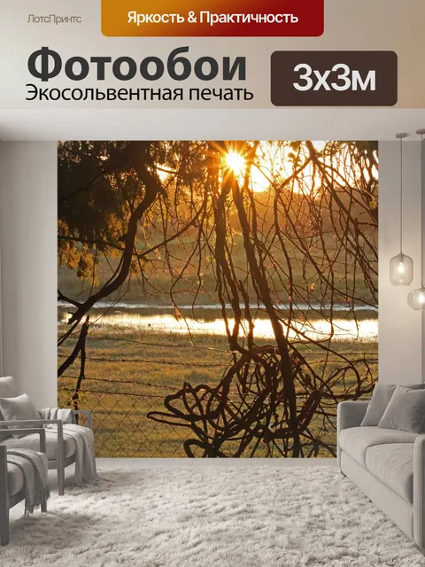 Фотообои вечернее солнце всматривается