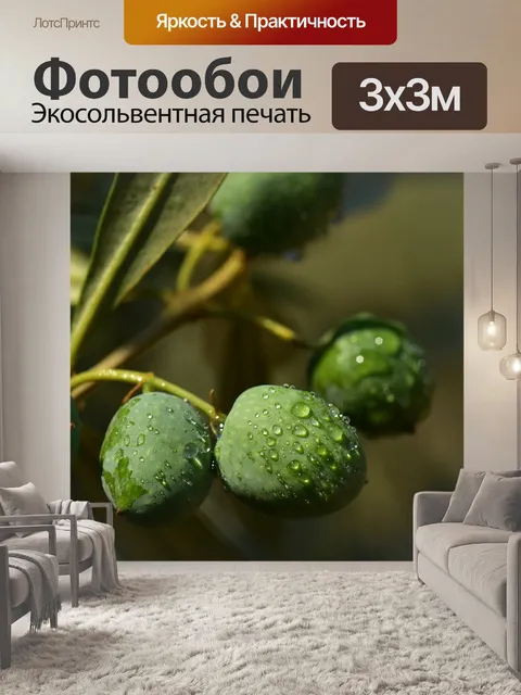 Фотообои Оливки