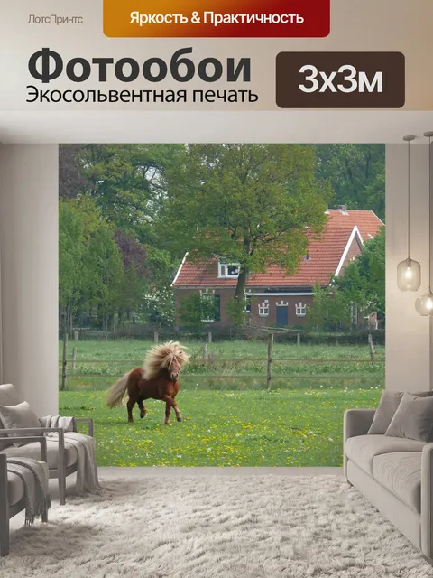 Фотообои Лошадь