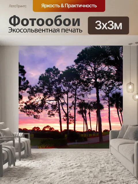 Фотообои Закат сквозь сосны